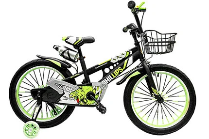 20" Phillips Girl Bicycle